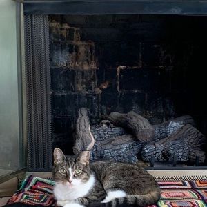 Meet your Posher, Colleen